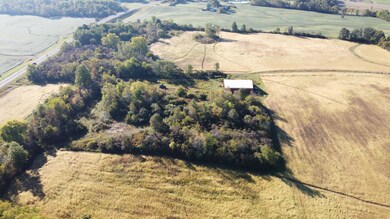 DJI_0585