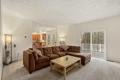 8 Squirrel Hill Rd unit 15, Acton, MA 01720 - photo 6