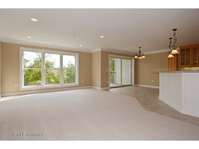 206 N Water St unit 203, Batavia, IL 60510 - photo 2