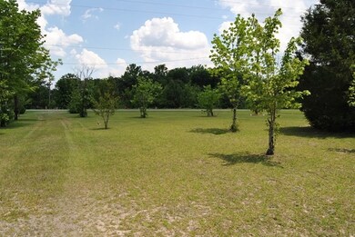 3361 Marshall Mill Rd, Byron, GA 31008 - photo 6