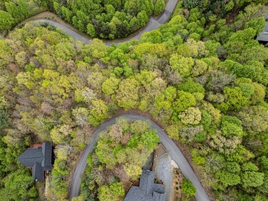 LOT 33 Mahoosec Trail, Mineral Bluff, GA 30559 - photo 2