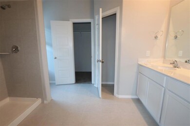 Owner's Bathroom
