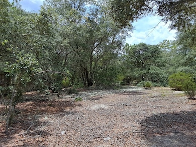 0 SW Kerria Ct unit 795440, Dunnellon, FL 34431 - photo 5