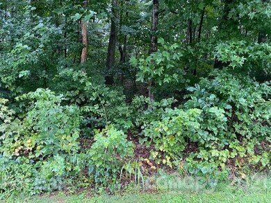 000 Robinhood Loop unit 16,17, Statesville, NC 28625 - photo 3