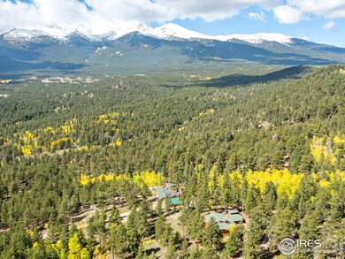 747 Coyote Hill Rd, Allenspark, CO 80510 - photo 4