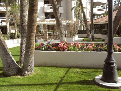 Peaceful gardens around pool