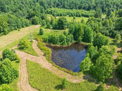 2210 Haynes Rd, Sugar Tree, TN 38380 - photo 7