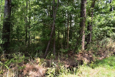 0 Cherry Hill Rd unit 25023693, Hollywood, SC 29449 - photo 5