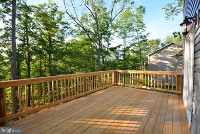 155 Lower View Rd, Strasburg, VA 22657 - photo 6