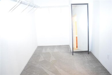 Large walk-in closet