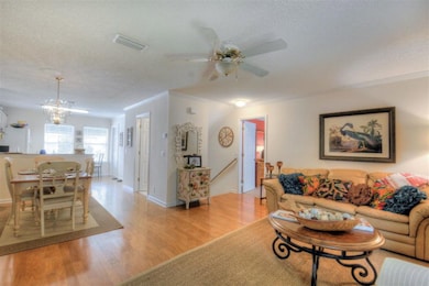 13 Pelican Place, St. Simons Island, GA 31522 - photo 3