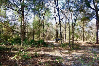 1.25 ACRE HOMESITE