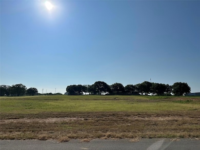 1040 Bluebonnet Ridge, Weatherford, TX 76087 - photo 3