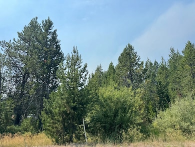 12937 Spring Valley Rd unit 35, Donnelly, ID 83615 - photo 2