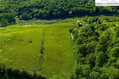 Lower meadow