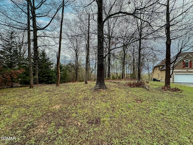 0 David Swann Dr unit 309362, Dandridge, TN 37725 - photo 6