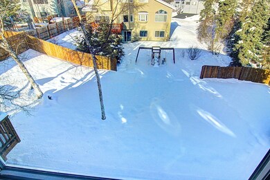 Large Backyard