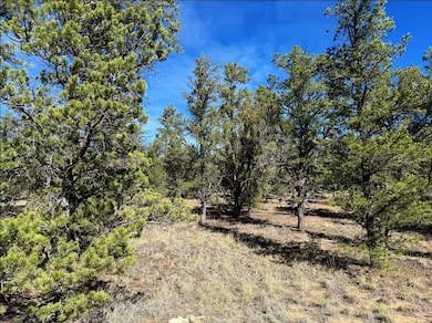 Davids Rock Rd, Ramah, NM 87321 - photo 2