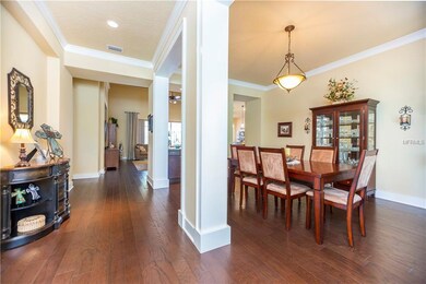 15925 Persimmon Grove Dr, Lithia, FL 33547 - photo 6