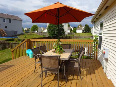 Back deck 2