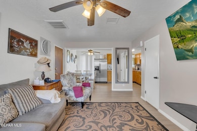 229 Cuprite Dr, El Paso, TX 79932 - photo 3