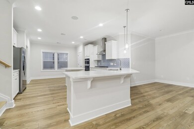 302 Murray Falls Ln, Chapin, SC 29036 - photo 4