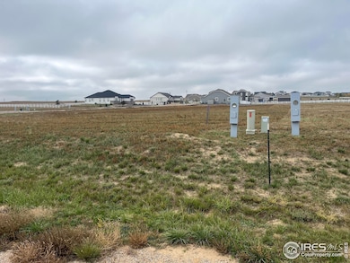 2652 Cutter Dr, Severance, CO 80546 - photo 3