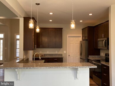 11000 Mcgregor Ln, Rixeyville, VA 22737 - photo 4