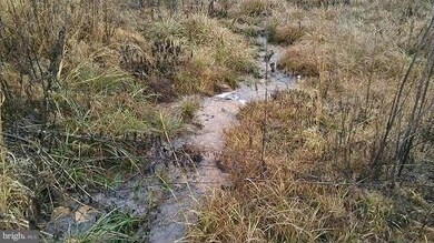 0 Hicks Ln unit 1002829752, Mine Run, VA 22508 - photo 5