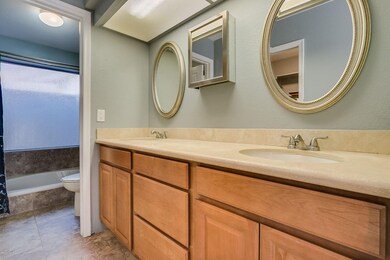 Updated master bathroom