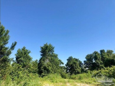 Lot 17 BS Buffalo Ridge Rd, Pace, FL 32571 - photo 6