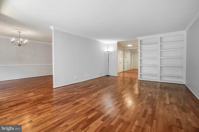 5901 Mount Eagle Dr unit 108, Alexandria, VA 22303 - photo 2