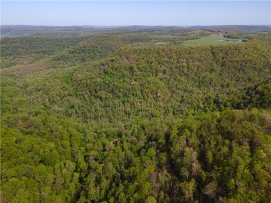 0 S Winfrey Valley Rd unit 1273960, Winslow, AR 72959 - photo 3