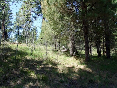 Sloped & Wooded Terrain