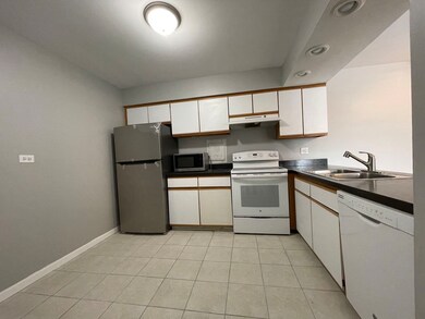 4400 Euclid Ave unit 2A, Rolling Meadows, IL 60008 - photo 6