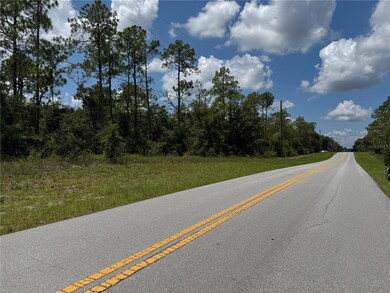 00 SW Rainbow Lakes Blvd, Dunnellon, FL 34431 - photo 7