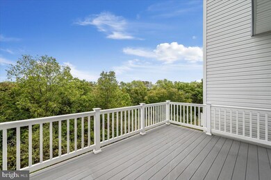 175 Schramm Loop, Stephens City, VA 22655 - photo 5