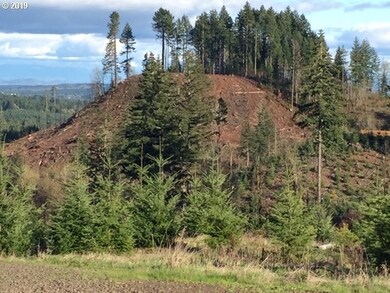 0 Oakdale Rd unit 591849589, Dallas, OR 97338 - photo 7