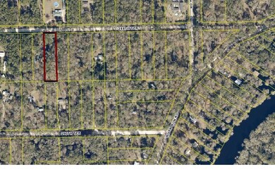 LT 12 288th Terrace, Branford, FL 32008 - photo 2