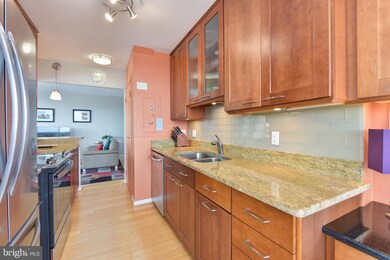 Alexandria House unit 1203, Alexandria, VA 22314 - photo 7