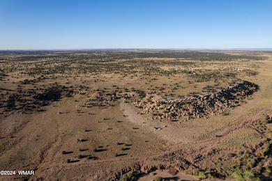 137 Acr 8461, Concho, AZ 85924 - photo 2