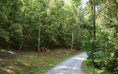 Additional View