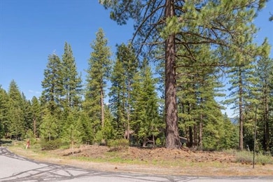 12721 Granite Dr, Truckee, CA 96161 - photo 5