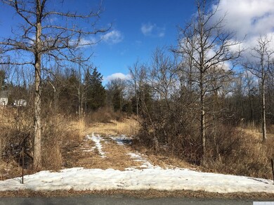 0 Roundtop #4 Rd, Germantown, NY 12526 - photo 3