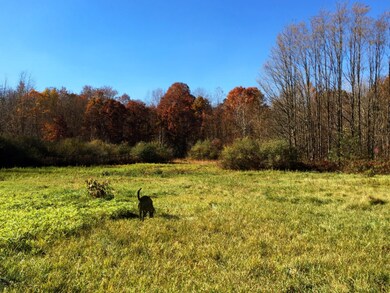 12488 Baldwin Rd, Sawyer, MI 49125 - photo 3