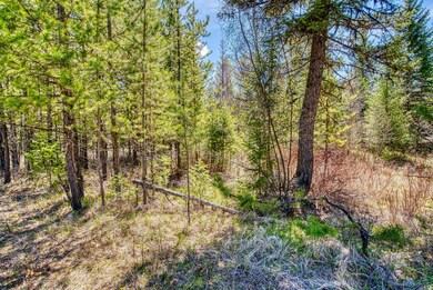 468 Haskill Ranch Rd, Kila, MT 59920 - photo 5