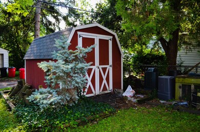 Shed_e