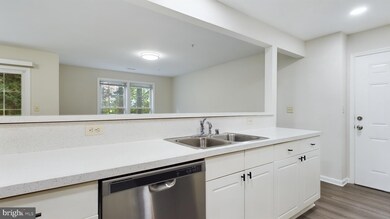 302 Baughmans Ln unit E, Frederick, MD 21702 - photo 6