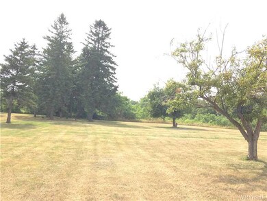 Yard.