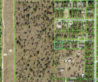 14056 Race Ave, Weeki Wachee, FL 34614 - photo 3